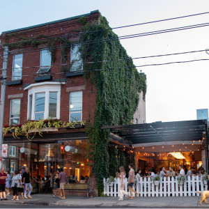 Product image for Bellwoods - Stay Classy Non Alc IPA