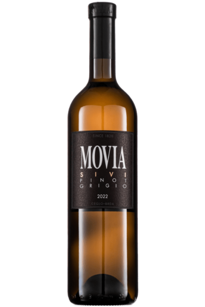 A product image for Movia Sivi Pinot Brda ZGP Organic