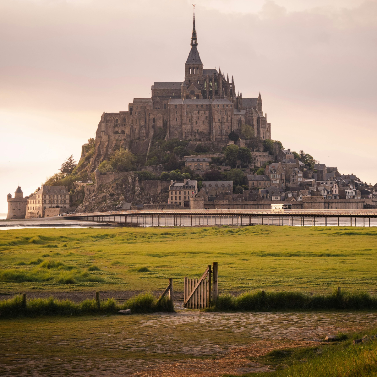 Product image for Benedictine Liqueur 750ml