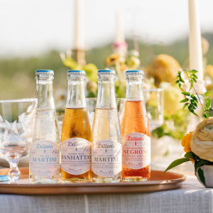 Product image for Dillon's Distillery - One Pour Negroni Cocktail