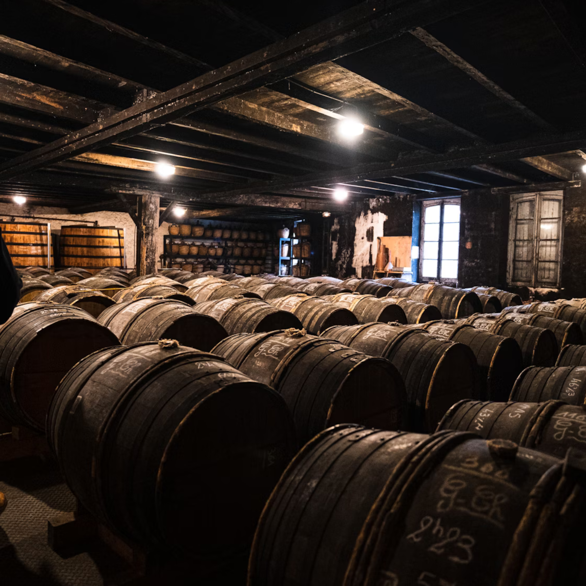 Product image for BV Land Napoleon Brandy