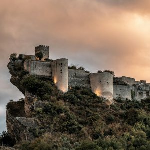 Product image for Spinelli Montepulciano D'Abruzzo DOC