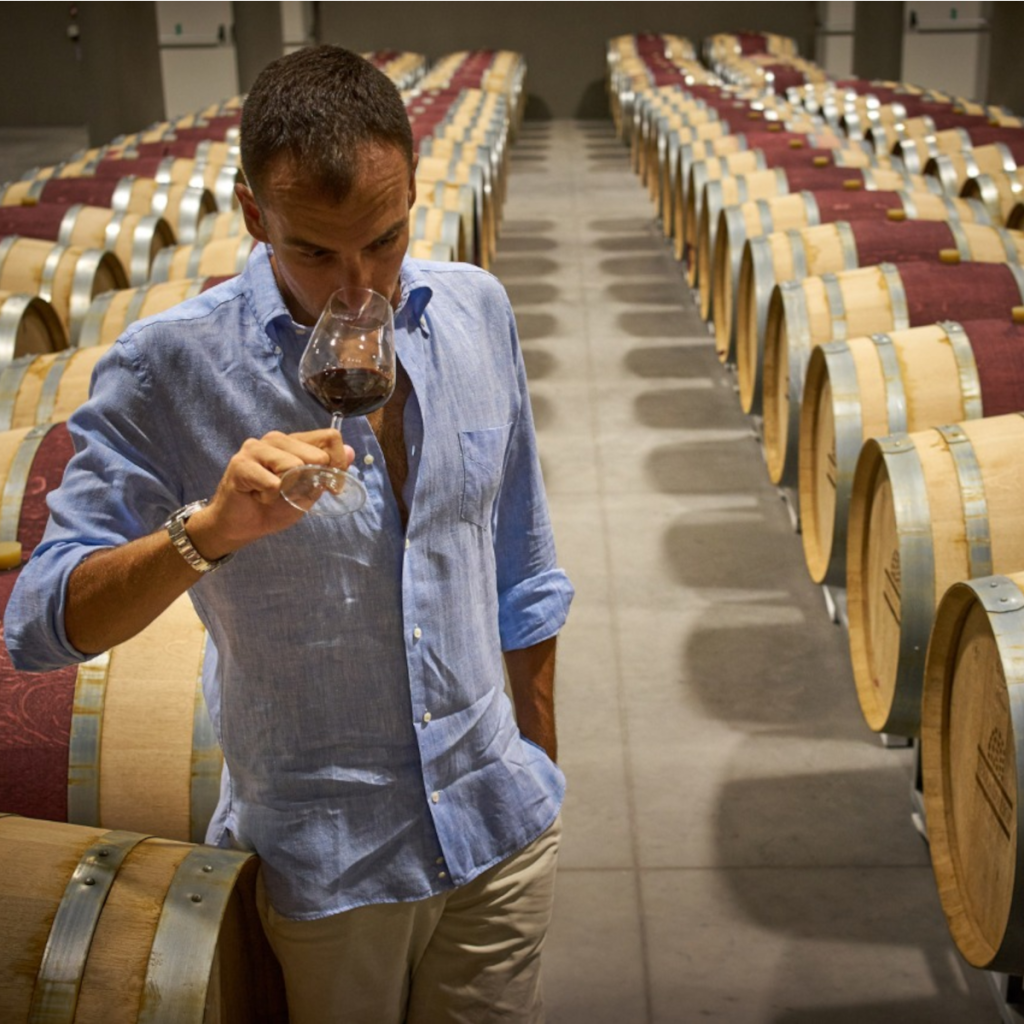 Product image for Spinelli Montepulciano D'Abruzzo DOC