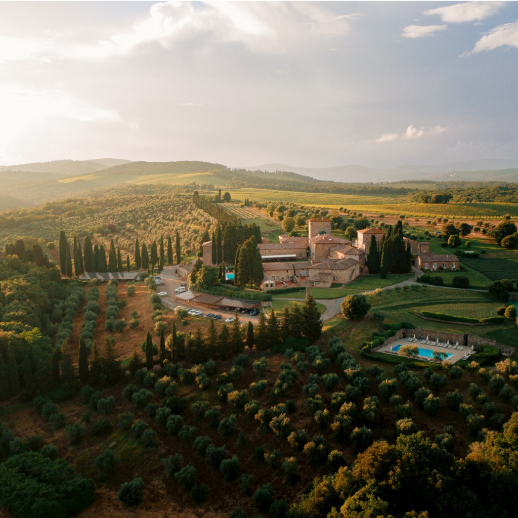 Product image for Borgo Scopeto Vin Santo del Chianti Classico DOC