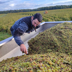 Product image for Denis Meunier - Vouvray Silex