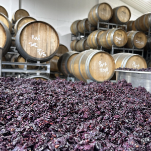 Product image for Pask Gimblett Gravels Syrah