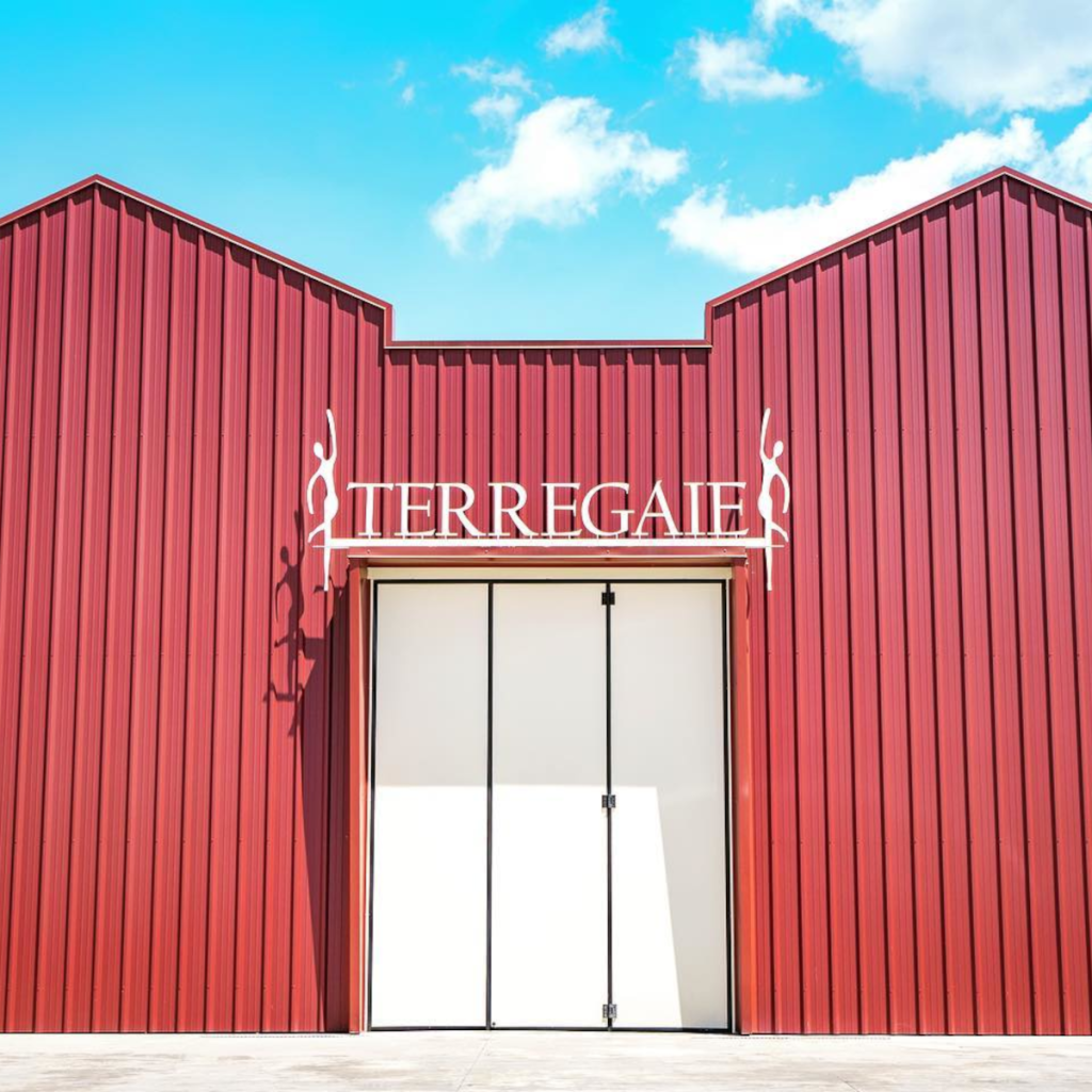 Product image for Terregaie Sauvignon Blanc Kali Veneto IGT