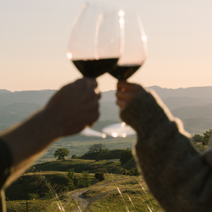 Product image for Jackson Estate Homestead Pinot Noir