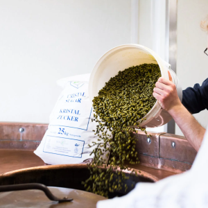 Product image for 330ml Brasserie Dupont - Saison Dupont