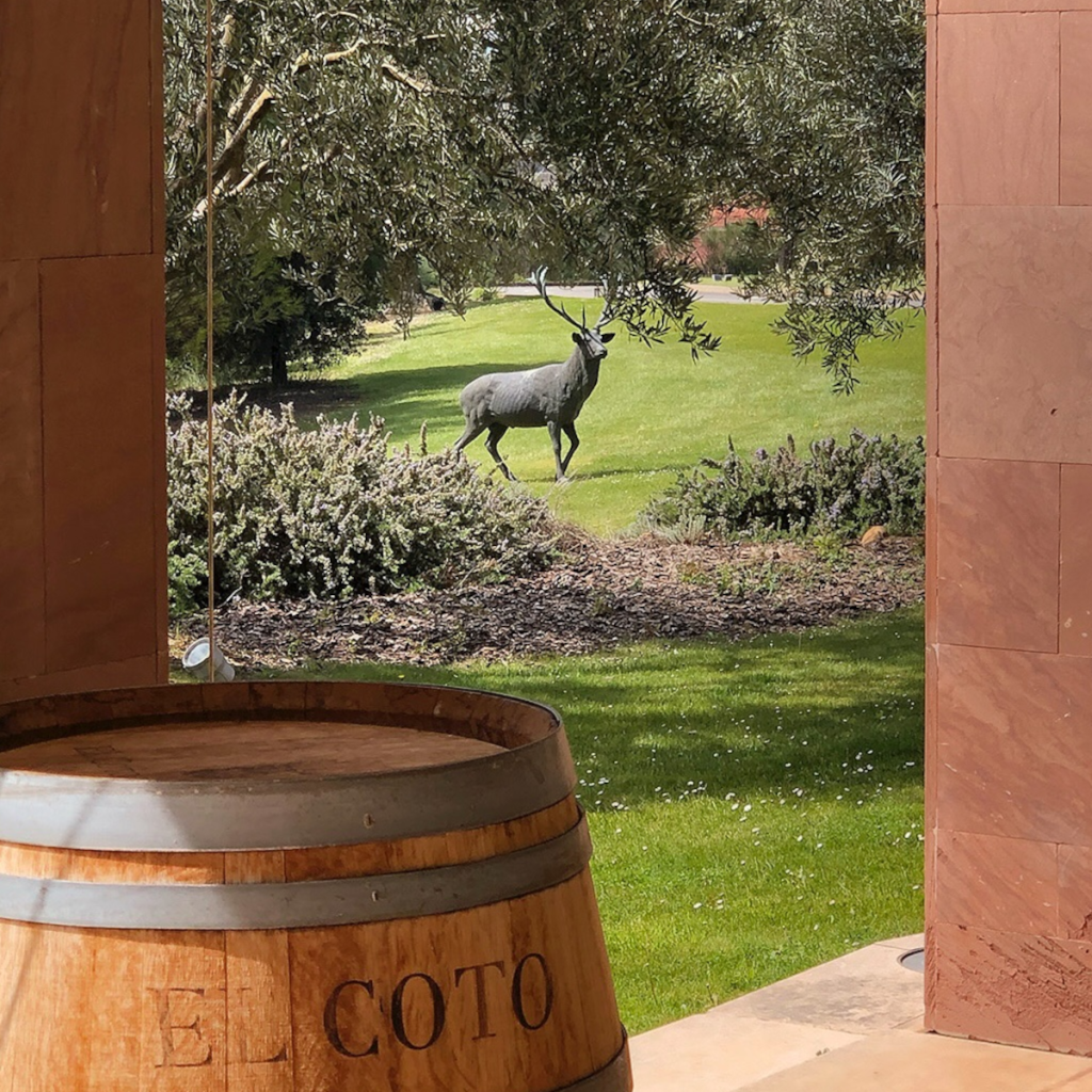 Product image for El Coto Crianza DOC