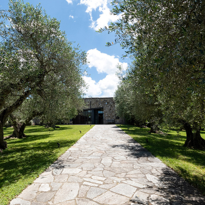 Product image for Ca'marcanda Vistamare