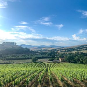 Product image for Poggio Argentiera Capatosta