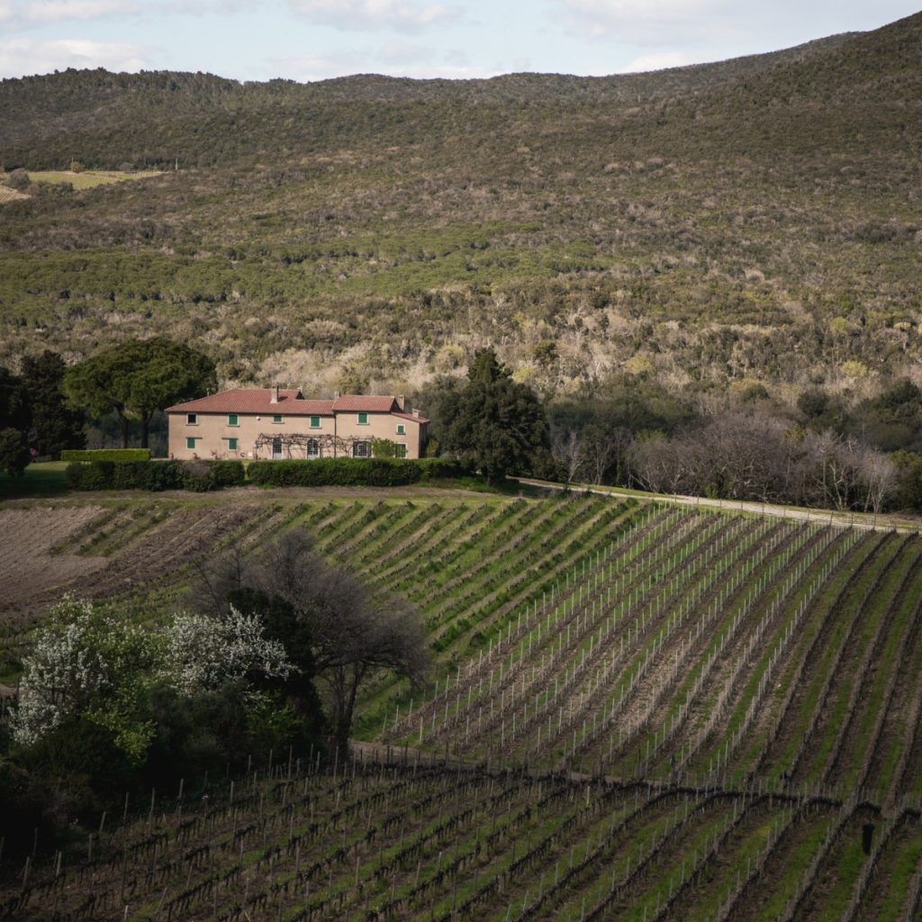 Product image for Grattamacco Bolgheri Rosso DOC