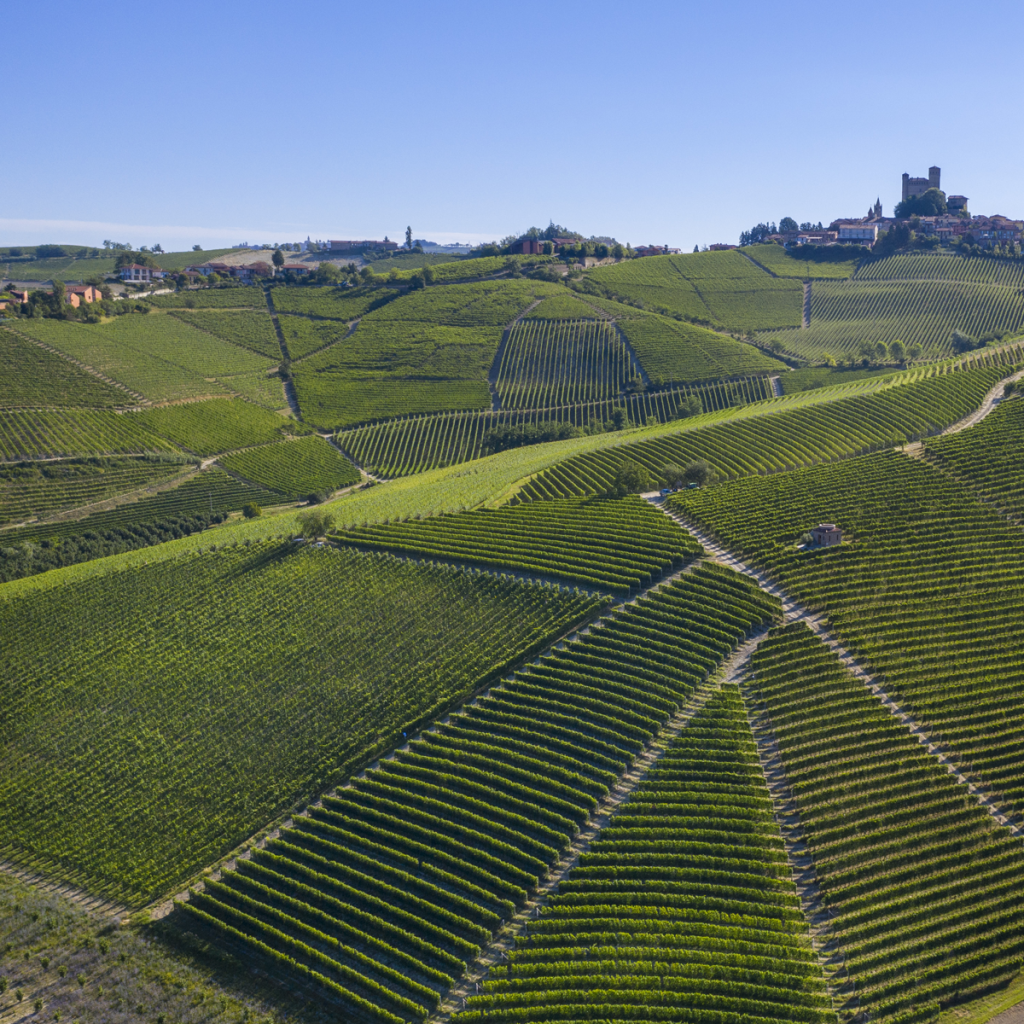 Product image for Massolino Barbera D'Alba DOC