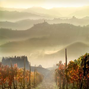 Product image for Massolino Barolo DOCG Vigna Rionda Riserva