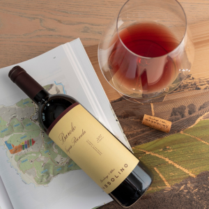 Product image for Massolino Barolo DOCG Vigna Rionda Riserva