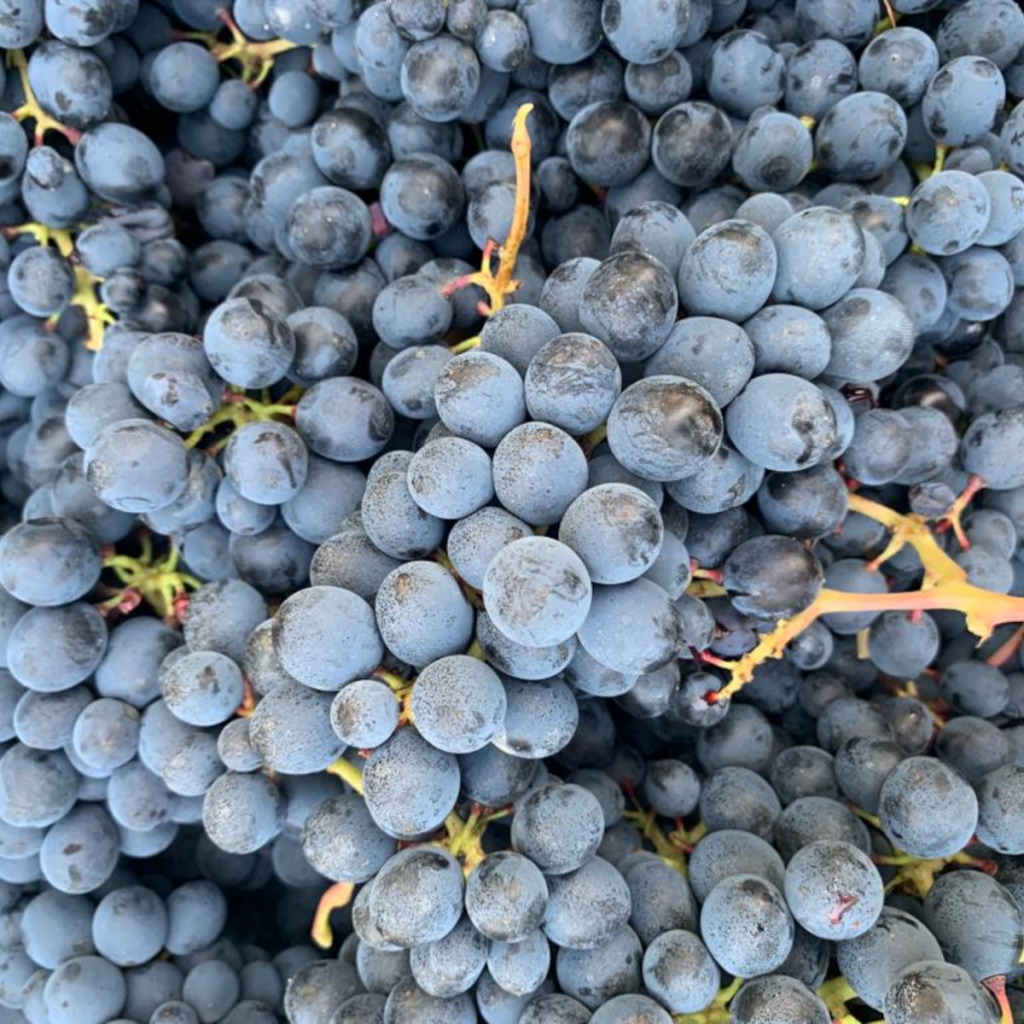 Product image for Massolino Barolo DOCG Parussi