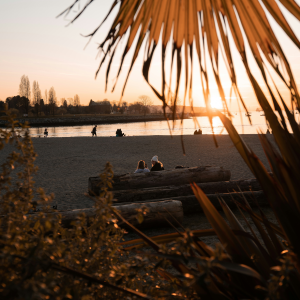 Product image for White Claw - Strawberry Seltzer