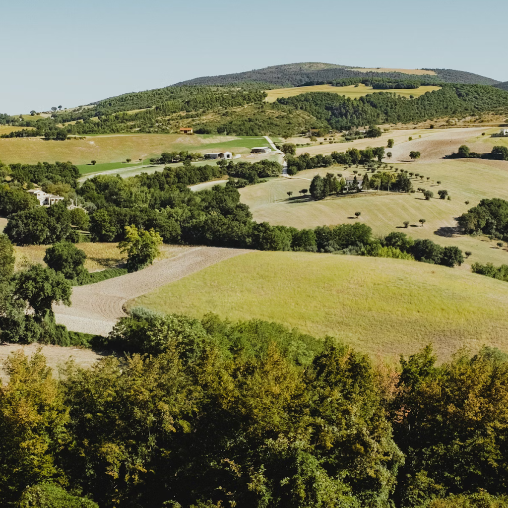 Product image for Meletti Sambuca