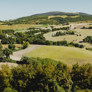 Product image for Meletti Sambuca