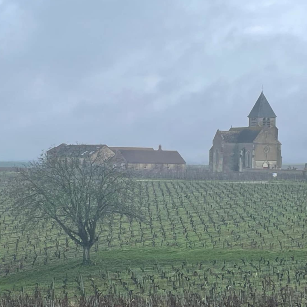 Product image for Jean Marc Brocard Montee de Tonnerre Chablis 1er C