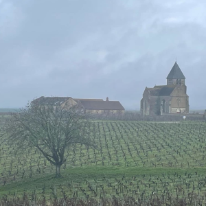 Product image for Jean Marc Brocard Montee de Tonnerre Chablis 1er C