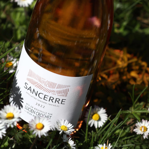 Product image for Lucien Crochet Sancerre Blanc