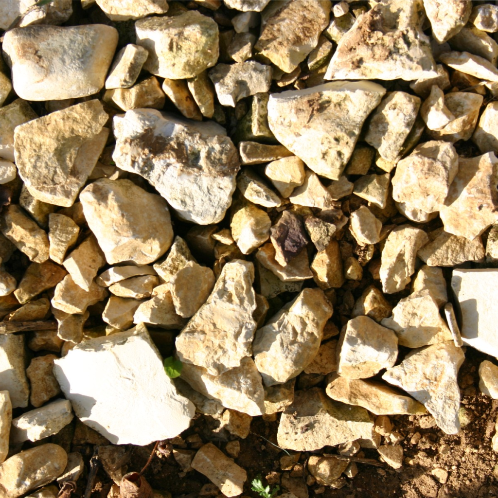 Product image for Jean Max Roger Cuvee GC