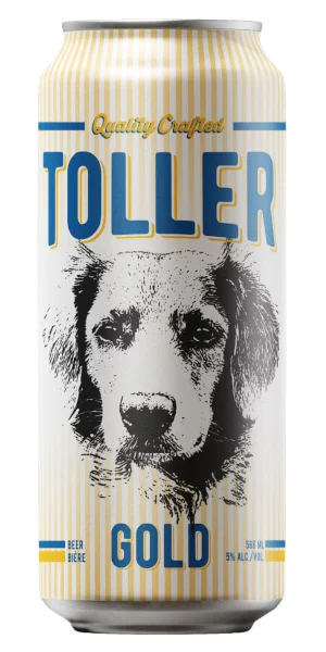 A product image for Burnside Brewing – Toller GOLD King Can 568ml