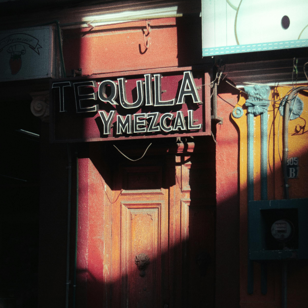 Product image for Planta Santa Mezcal Joven