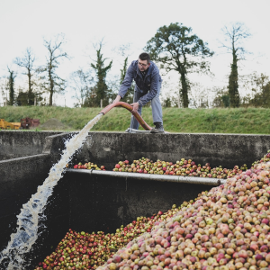 Product image for Domaine du Coquerel Calvados VS
