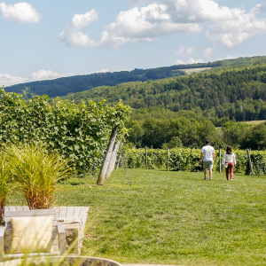 Product image for Benjamin Bridge Ruby Piquette