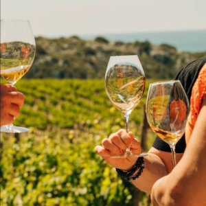 Product image for Gerard Bertrand Heritage Viognier