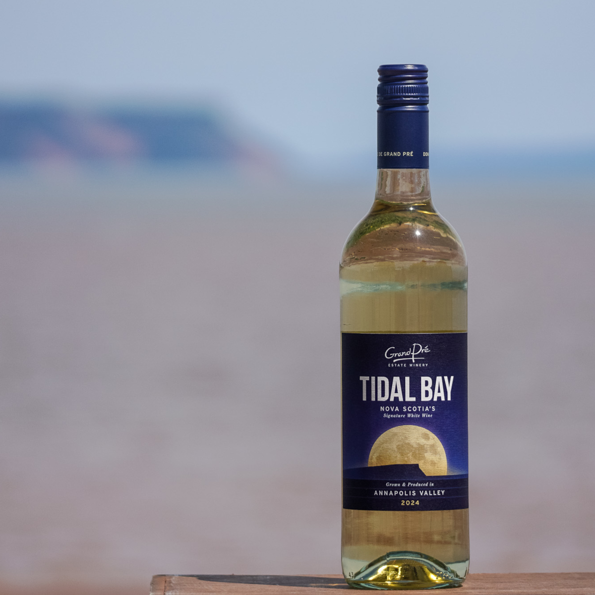 Product image for Grand Pre Tidal Bay