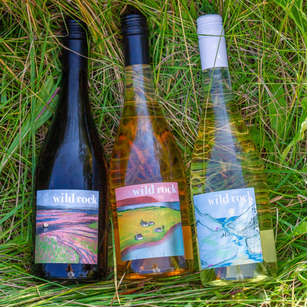 Product image for Benjamin Bridge Wild Rock Rose