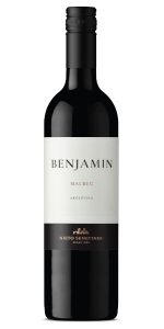 Product image for Nieto Senetiner Benjamin Malbec