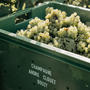 Product image for Andre Clouet DV 2009 Champagne