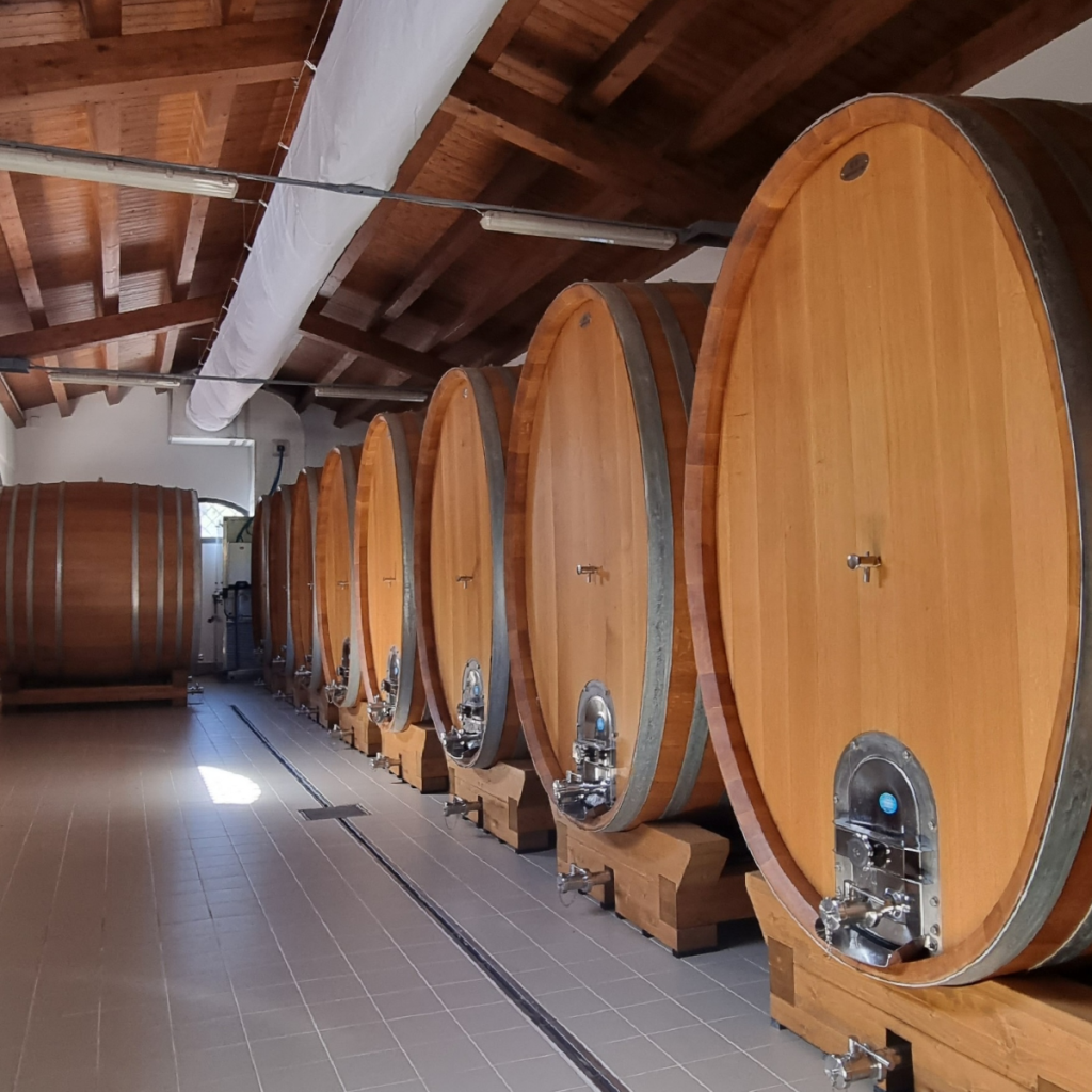 Product image for Terre Nere Calderara Sottana Bellacolonna