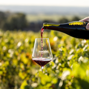 Product image for Jean Paul Brun Beaujolais L'Ancien