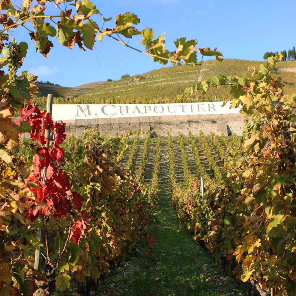 Product image for Chapoutier Ciboise Luberon Blanc