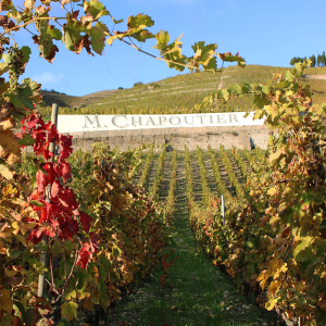 Product image for Chapoutier Ciboise Luberon Rouge