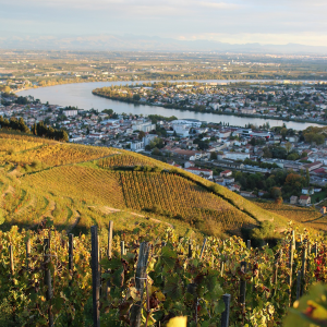 Product image for Chapoutier Ciboise Luberon Blanc