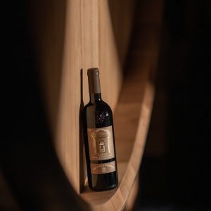 Product image for Michele Chiarlo Tortoniano Barolo DOCG