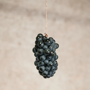 Product image for Jean Paul Brun Beaujolais L'Ancien