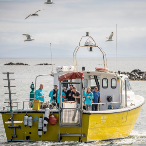 Product image for Mac-Talla Mara Cask Strength Islay Single Malt