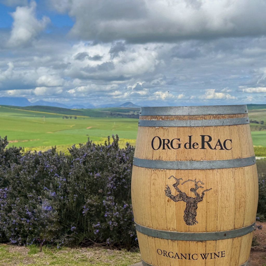 Product image for Org de Rac Cabernet Merlot