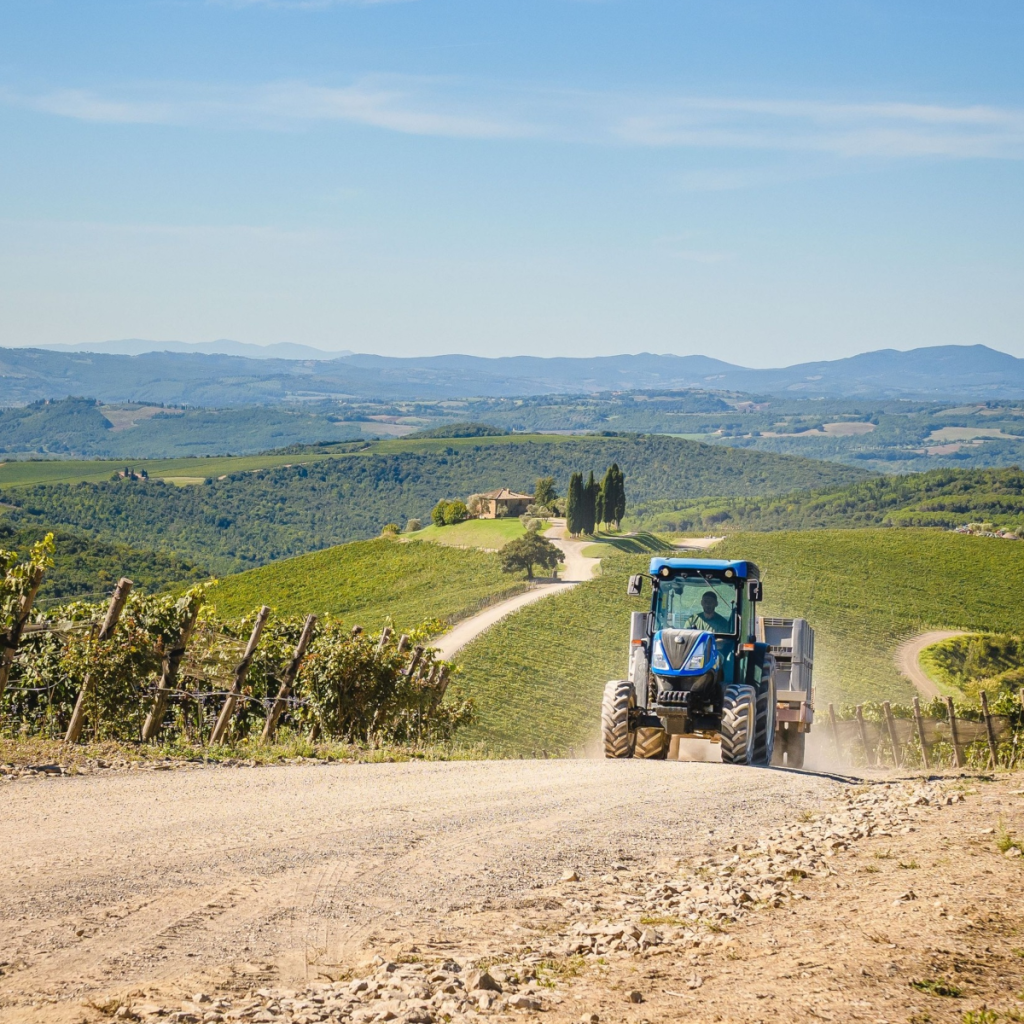 Product image for Castiglion del Bosco Brunello Di Montalcino DOCG