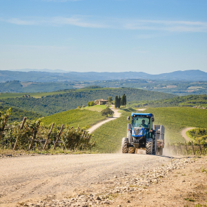 Product image for Castiglion del Bosco Brunello Di Montalcino DOCG