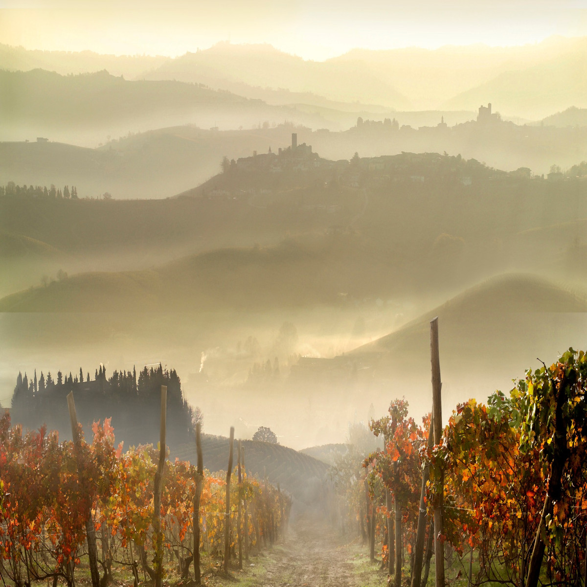 Product image for Massolino Langhe Nebbiolo DOC