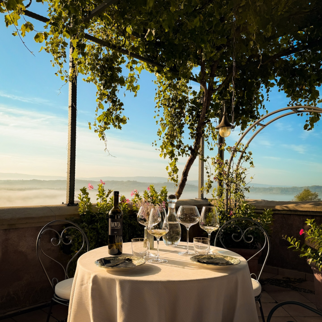 Product image for Movia “Vigna Dol” Malvalsia Brda Suho Belo Vino ZGP